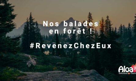 visuel balades en forêt