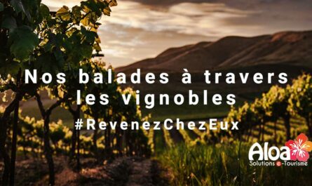 visuel_balades_vignobles