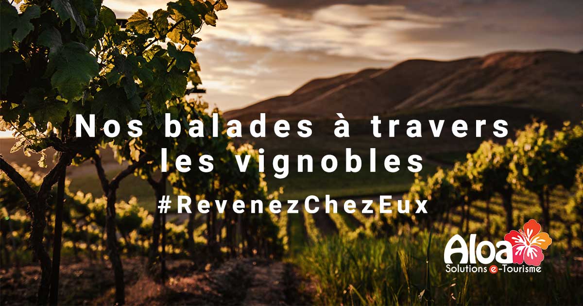 visuel_balades_vignobles